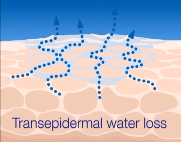 source: google image